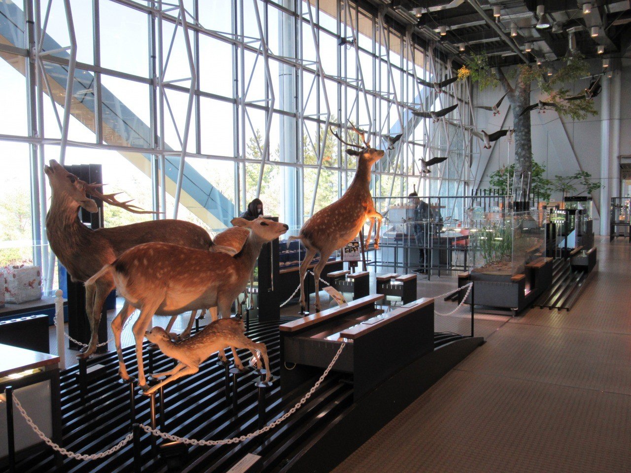 🔬 3M 센다이시 과학관 이미지 1